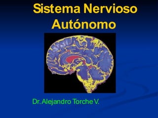 Sistema Nervioso
Autónomo
Dr.Alejandro TorcheV.
 