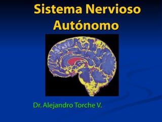 Sistema Nervioso
Sistema Nervioso
Autónomo
Autónomo
Dr.Alejandro Torche V.
Dr.Alejandro Torche V.
 