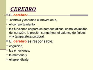 CEREBRO
 El cerebro:
 controla y coordina el movimiento,
 el comportamiento
 las funciones corporales homeostáticas, como los latidos
del corazón, la presión sanguínea, el balance de fluidos
y la temperatura corporal.
 El cerebro es responsable:
 cognición,
 las emociones,
 la memoria y
 el aprendizaje.
 