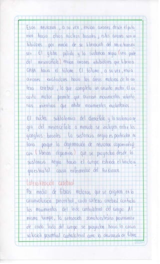 Sistema nervioso-central