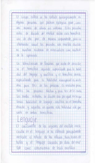 Sistema nervioso-central