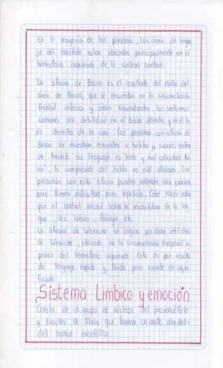 Sistema nervioso-central