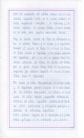 Sistema nervioso-central