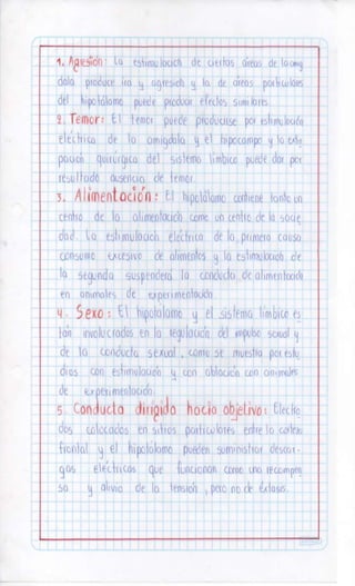 Sistema nervioso-central