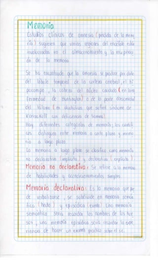 Sistema nervioso-central