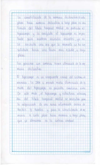 Sistema nervioso-central