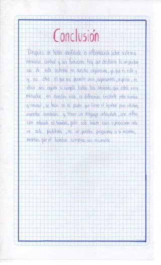 Sistema nervioso-central