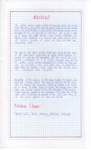 Sistema nervioso-central