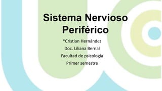 Sistema Nervioso
Periférico
*Cristian Hernández
Doc. Liliana Bernal
Facultad de psicología
Primer semestre
 