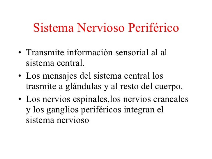 Sistema Nervioso PeriféRico