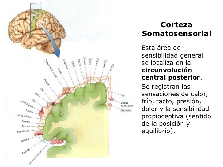Imagen relacionada
