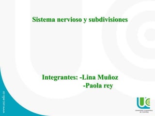 Sistema nervioso y subdivisiones
Integrantes: -Lina Muñoz
-Paola rey
 
