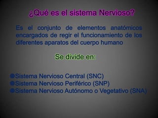¿Qué es el sistema Nervioso?




      Se divide en:
 