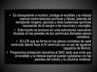 • Es transparente e incoloro; protege el encéfalo y la médula
          espinal contra lesiones químicas y físicas, además de
      transportar oxígeno, glucosa y otras sustancias químicas
            necesarias de la sangre a las neuronas y neuroglia.
     • Este líquido se produce en unas estructuras vasculares
    situadas en las paredes de los ventrículos llamadas plexos
                                                          coroideos .
       • El LCR que se forma en los plexos coroideos de cada
   ventrículo lateral fluye al III ventrículo por un par de agujeros
                                               (agujeros de Monro).
• Proporciona protección mecánica al SNC dado que evita que
      el encéfalo y la médula espinal puedan golpearse con las
                       paredes del cráneo y la columna vertebral.
 