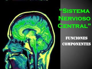 “Sistema
Nervioso
Central”
  Funciones
 Componentes
 