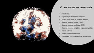 • Introdução
• Organização do sistema nervoso
• Vídeo: visão geral do sistema nervoso
• Sistema nervoso central (SNC)
• Sistema nervoso periférico (SNP)
• Sistema nervoso simpático e parassimpático
• Tecido nervoso
• Vídeo: O impulso nervoso
• Estrutura e funcionamento de um neurônio
O que vamos ver nessa aula
 