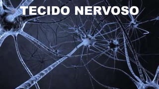 TECIDO NERVOSO
 