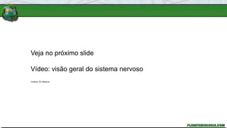Veja no próximo slide
Vídeo: visão geral do sistema nervoso
Créditos: 3D 4Medical
 