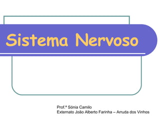 Sistema Nervoso Prof.ª Sónia Camilo Externato João Alberto Farinha – Arruda dos Vinhos 