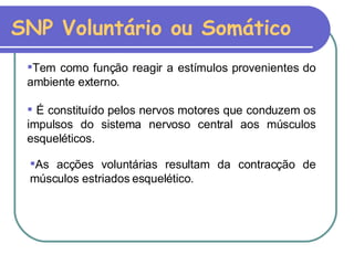 SNP Voluntário ou Somático As acções voluntárias resultam da contracção de músculos estriados esquelético.  Tem como função reagir a estímulos provenientes do ambiente externo. É constituído pelos nervos motores que conduzem os impulsos do sistema nervoso central aos músculos esqueléticos.   