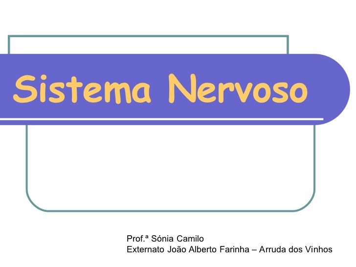 Sistema Nervoso Prof.ª Sónia Camilo Externato João Alberto Farinha – Arruda dos Vinhos 