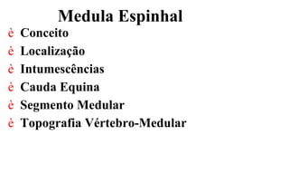 Medula Espinhal
è Conceito
è Localização
è Intumescências
è Cauda Equina
è Segmento Medular
è Topografia Vértebro-Medular
 