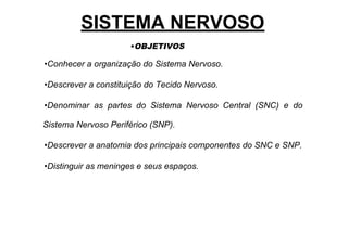 SISTEMA NERVOSO
•Conhecer a organização do Sistema Nervoso.
•Descrever a constituição do Tecido Nervoso.
•Denominar as partes do Sistema Nervoso Central (SNC) e do
Sistema Nervoso Periférico (SNP).
•Descrever a anatomia dos principais componentes do SNC e SNP.
•Distinguir as meninges e seus espaços.
•OBJETIVOS
 