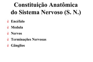 Constituição Anatômica
do Sistema Nervoso (S. N.)
è Encéfalo
è Medula
è Nervos
è Terminações Nervosas
è Gânglios
 