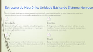 Sistema-Nervoso-O-Centro-de-Controle-do-Corpo-Humano (1).pptx