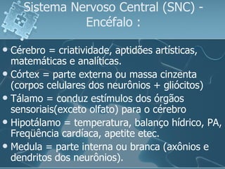 Sistema Nervoso Central (SNC) - Encéfalo : Cérebro = criatividade, aptidões artísticas, matemáticas e analíticas. Córtex = parte externa ou massa cinzenta (corpos celulares dos neurônios + gliócitos) Tálamo = conduz estímulos dos órgãos sensoriais(exceto olfato) para o cérebro Hipotálamo = temperatura, balanço hídrico, PA, Freqüência cardíaca, apetite etec. Medula = parte interna ou branca (axônios e dendritos dos neurônios). 