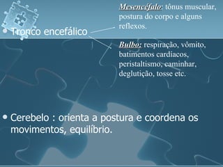 Tronco encefálico Cerebelo : orienta a postura e coordena os movimentos, equilíbrio. Mesencéfalo : tônus muscular, postura do corpo e alguns reflexos. Bulbo:  respiração, vômito, batimentos cardíacos, peristaltismo, caminhar, deglutição, tosse etc. 