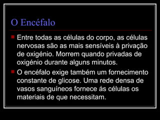 O Encéfalo Entre todas as células do corpo, as células nervosas são as mais sensíveis à privação de oxigénio. Morrem quando privadas de oxigénio durante alguns minutos. O encéfalo exige também um fornecimento constante de glicose. Uma rede densa de vasos sanguíneos fornece ás células os materiais de que necessitam. 