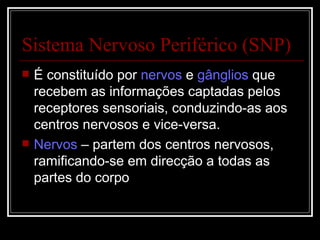 Sistema Nervoso Periférico (SNP) É constituído por  nervos  e  gânglios  que recebem as informações captadas pelos receptores sensoriais, conduzindo-as aos centros nervosos e vice-versa. Nervos  – partem dos centros nervosos, ramificando-se em direcção a todas as partes do corpo 