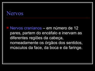 Nervos Nervos cranianos  – em número de 12 pares, partem do encéfalo e inervam as diferentes regiões da cabeça, nomeadamente os órgãos dos sentidos, músculos da face, da boca e da faringe. 