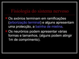 Os axónios terminam em ramificações ( arborização terminal ) e alguns apresentam uma protecção, a  baínha de mielina . Os neurónios podem apresentar várias formas e tamanhos, (alguns podem atingir 1m de comprimento). Fisiologia do sistema nervoso 