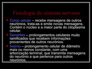 Corpo celular  – recebe mensagens de outros neurónios, trata-as e emite novas mensagens. Contém o núcleo e a maior parte do citoplasma celular. Dendrites  – prolongamentos celulares muito ramificados que recebem informações provenientes de outros neurónios. Axónio  – prolongamento celular de diâmetro mais ou menos constante, com uma arborização terminal, que transmite mensagens do neurónio a que pertence para outros neurónios.  Fisiologia do sistema nervoso 