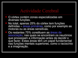 Actividade Cerebral O córtex contém zonas especializadas em diversas funções. No total, apenas 25% do córtex tem funções definidas –  áreas primárias , como por exemplo as motoras ou as áreas sensitivas. Os restantes 75% constituem as  áreas de associação , nas quais se encontram os neurónios que processam a informação antes de decidir o que fazer. Estas áreas têm um papel fundamental nas funções mentais superiores, como o raciocínio e a imaginação. 