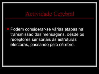 Podem considerar-se várias etapas na transmissão das mensagens, desde os receptores sensoriais às estruturas efectoras, passando pelo cérebro. Actividade Cerebral 