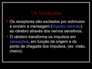 Os receptores são excitados por estímulos e enviam a mensagem ( impulso nervoso ) ao cérebro através dos nervos sensitivos. O cérebro transforma os impulsos em  sensações , em função da origem e do ponto de chegada dos impulsos, (ex: visão, cheiro). Os Estímulos 