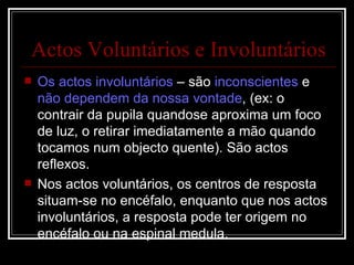 Os actos involuntários  – são  inconscientes  e  não dependem da nossa vontade , (ex: o contrair da pupila quandose aproxima um foco de luz, o retirar imediatamente a mão quando tocamos num objecto quente). São actos reflexos. Nos actos voluntários, os centros de resposta situam-se no encéfalo, enquanto que nos actos involuntários, a resposta pode ter origem no encéfalo ou na espinal medula. Actos Voluntários e Involuntários 
