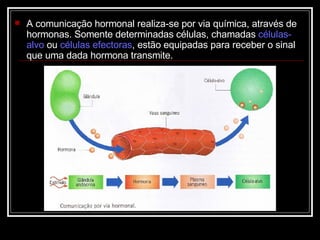 A comunicação hormonal realiza-se por via química, através de hormonas. Somente determinadas células, chamadas  células-alvo  ou  células efectoras , estão equipadas para receber o sinal que uma dada hormona transmite. 