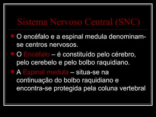 Sistema Nervoso Central (SNC) O encéfalo e a espinal medula denominam-se centros nervosos. O  Encéfalo  – é constituído pelo cérebro, pelo cerebelo e pelo bolbo raquidiano. A  Espinal medula  – situa-se na continuação do bolbo raquidiano e encontra-se protegida pela coluna vertebral 