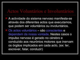 Actos Voluntários e Involuntários <ul><li>A actividade do sistema nervoso manifesta-se através dos diferentes actos que ex...