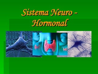Sistema Neuro - Hormonal 