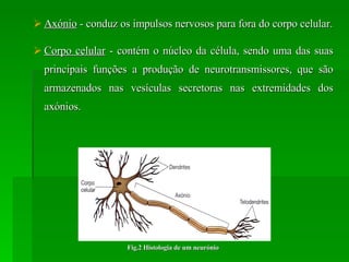 Axónio  - conduz os impulsos nervosos para fora do corpo celular. Corpo celular  - contém o núcleo da célula, sendo uma das suas principais funções a produção de neurotransmissores, que são armazenados nas vesículas secretoras nas extremidades dos axónios. Fig.2 Histologia de um neurónio 