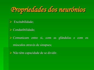 Propriedades dos neurónios Excitabilidade; Condutibilidade; Comunicam entre si, com as glândulas e com os músculos através de sinapses; Não têm capacidade de se dividir. 