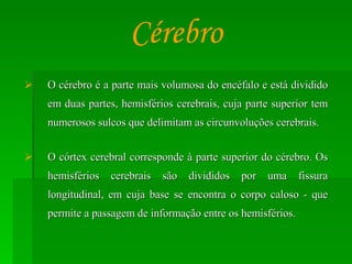 O cérebro é a parte mais volumosa do encéfalo e está dividido em duas partes, hemisférios cerebrais, cuja parte superior tem numerosos sulcos que delimitam as circunvoluções cerebrais.  O córtex cerebral corresponde à parte superior do cérebro. Os hemisférios cerebrais são divididos por uma fissura longitudinal, em cuja base se encontra o corpo caloso - que permite a passagem de informação entre os hemisférios.  Cérebro 