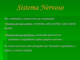 Nos vertebrados o sistema nervoso compreende: Sistema nervoso central , constituído, pelo encéfalo e pela espinal medula; Sistema nervoso periférico , constituído pelos nervos  (cranianos e raquidianos) e pelos gânglios nervosos. Os centros nervosos estão protegidos por formações esqueléticas, o crânio e a coluna vertebral. Sistema Nervoso 