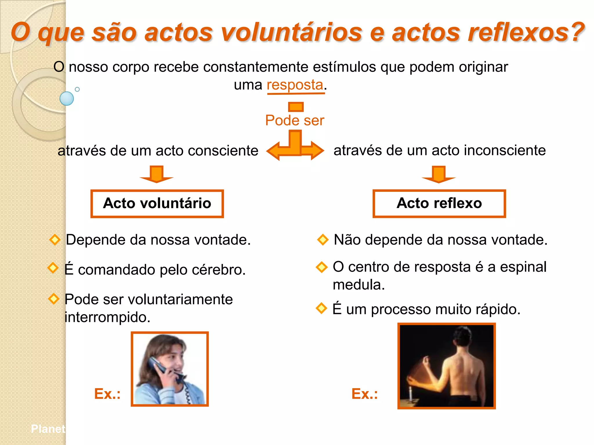 O que são actos voluntários e actos reflexos?
     O nosso corpo recebe constantemente estímulos que podem originar
                              uma resposta.

                                     Pode ser

     através de um acto consciente              através de um acto inconsciente


              Acto voluntário                            Acto reflexo

       Depende da nossa vontade.                Não depende da nossa vontade.

       É comandado pelo cérebro.                O centro de resposta é a espinal
                                                medula.
       Pode ser voluntariamente
                                                É um processo muito rápido.
       interrompido.




            Ex.:                                  Ex.:

 Planeta Terra — 9.º ano
 