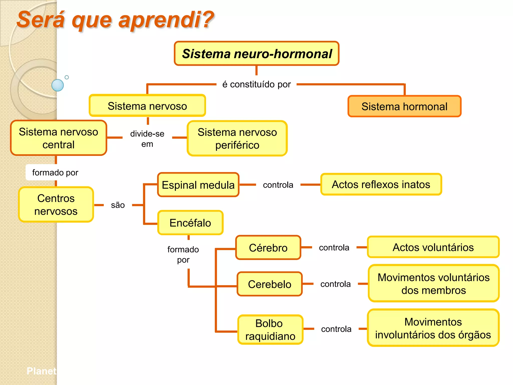 Será que aprendi?
                                       Sistema neuro-hormonal

                                               é constituído por

                  Sistema nervoso                                              Sistema hormonal

Sistema nervoso         divide-se         Sistema nervoso
     central               em                 periférico

  formado por
                                Espinal medula           controla      Actos reflexos inatos
   Centros
                  são
  nervosos
                                    Encéfalo

                                    formado          Cérebro        controla        Actos voluntários
                                       por

                                                                                  Movimentos voluntários
                                                     Cerebelo       controla
                                                                                      dos membros


                                                      Bolbo                            Movimentos
                                                                    controla
                                                    raquidiano                   involuntários dos órgãos


 Planeta Terra — 9.º ano
 